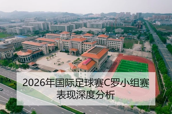 2026年国际足球赛C罗小组赛表现深度分析